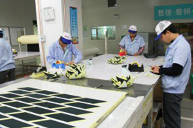 2025新澳门原料免费今晚开什么